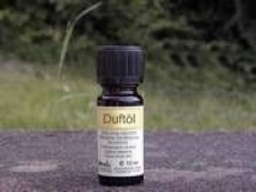 Orangen-Minze (Mischung)